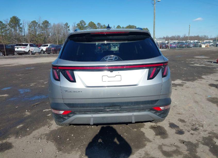 Photo 16 of 2024 Hyundai Tucson LIMITED (VIN 5NMJE3DE8RH350535)