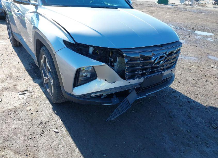 Photo 6 of 2024 Hyundai Tucson LIMITED (VIN 5NMJE3DE8RH350535)