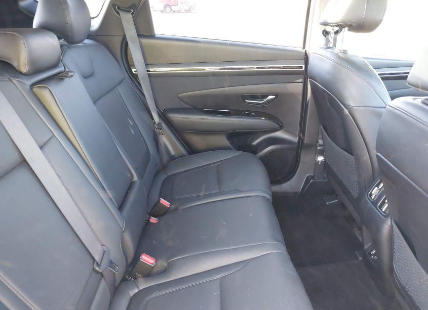 Photo 8 of 2024 Hyundai Tucson LIMITED (VIN 5NMJE3DE8RH350535)