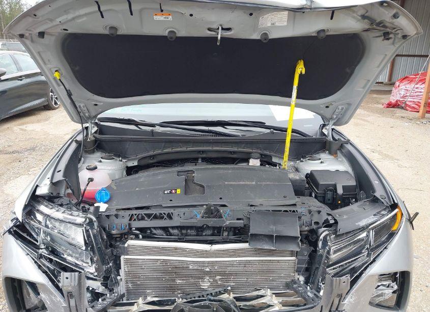 Photo 10 of 2024 Hyundai Tucson LIMITED (VIN 5NMJE3DE8RH359395)