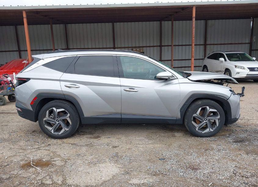 Photo 13 of 2024 Hyundai Tucson LIMITED (VIN 5NMJE3DE8RH359395)