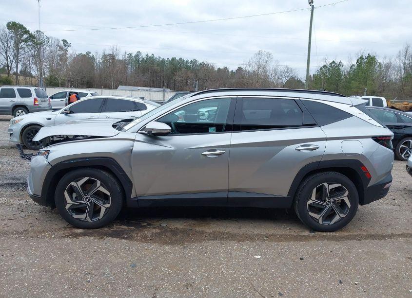 Photo 14 of 2024 Hyundai Tucson LIMITED (VIN 5NMJE3DE8RH359395)