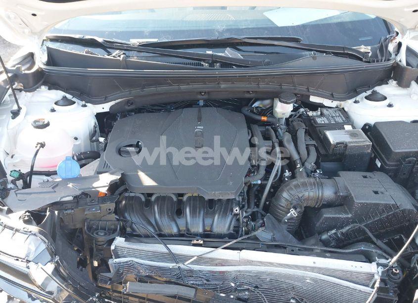 Photo 10 of 2024 Hyundai Tucson LIMITED (VIN 5NMJE3DE9RH313820)