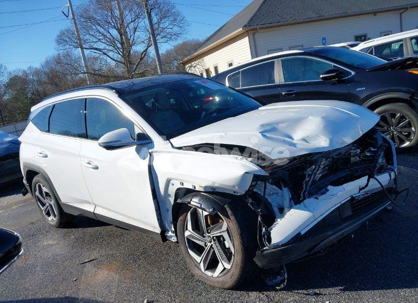 Photo 13 of 2024 Hyundai Tucson LIMITED (VIN 5NMJE3DE9RH313820)