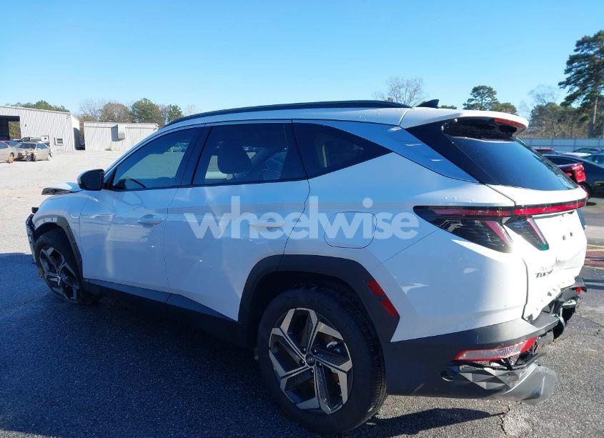 Photo 14 of 2024 Hyundai Tucson LIMITED (VIN 5NMJE3DE9RH313820)