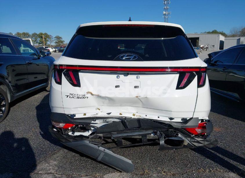 Photo 16 of 2024 Hyundai Tucson LIMITED (VIN 5NMJE3DE9RH313820)