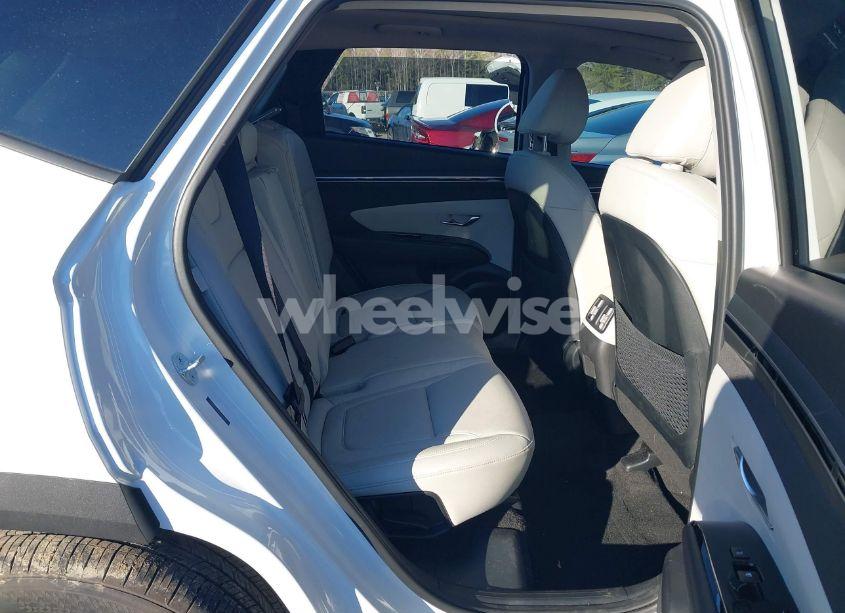 Photo 8 of 2024 Hyundai Tucson LIMITED (VIN 5NMJE3DE9RH313820)