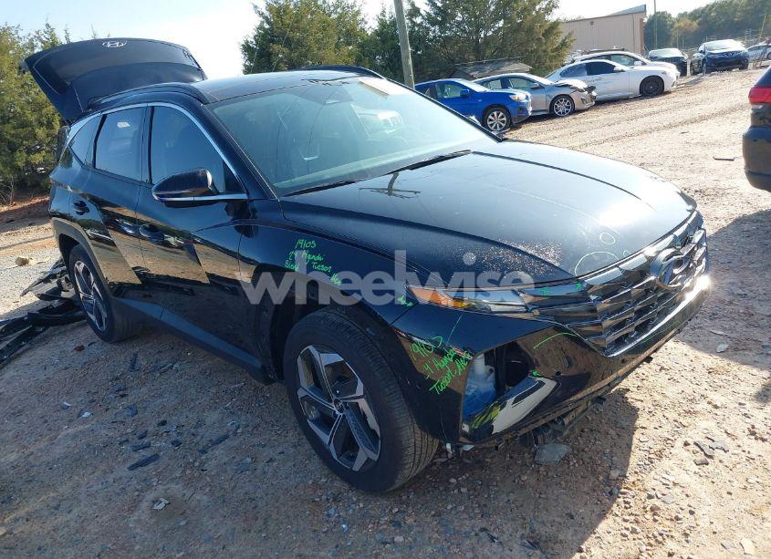 2024 Hyundai Tucson LIMITED (VIN 5NMJE3DE9RH366243) main photo