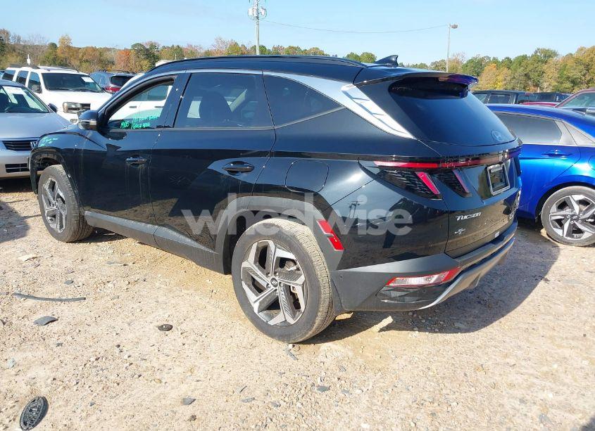 Photo 3 of 2024 Hyundai Tucson LIMITED (VIN 5NMJE3DE9RH366243)