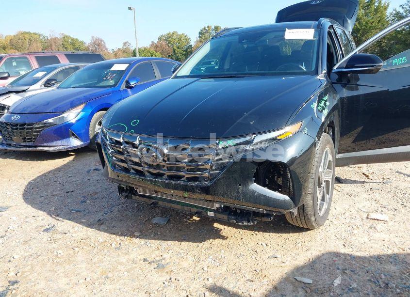 Photo 6 of 2024 Hyundai Tucson LIMITED (VIN 5NMJE3DE9RH366243)