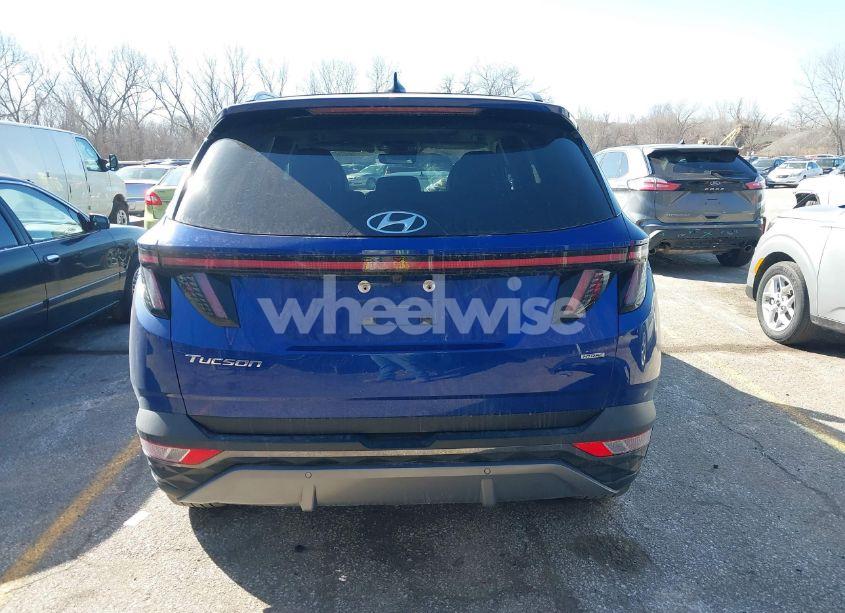 Photo 17 of 2023 Hyundai Tucson LIMITED (VIN 5NMJECAE0PH189180)