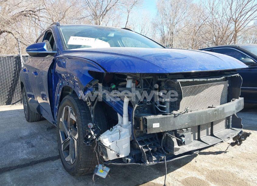 Photo 6 of 2023 Hyundai Tucson LIMITED (VIN 5NMJECAE0PH189180)