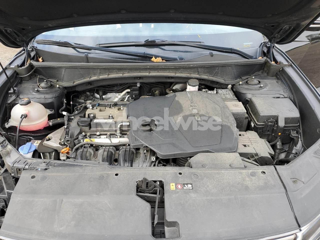Photo 12 of 2023 HYUNDAI TUCSON LIMITED (VIN 5NMJECAE0PH241326)