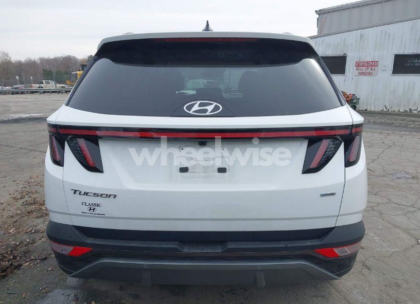 Photo 17 of 2023 Hyundai Tucson LIMITED (VIN 5NMJECAE0PH267053)