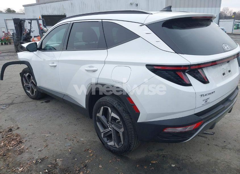 Photo 3 of 2023 Hyundai Tucson LIMITED (VIN 5NMJECAE0PH267053)