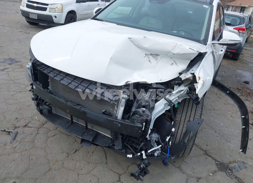 Photo 6 of 2023 Hyundai Tucson LIMITED (VIN 5NMJECAE0PH267053)