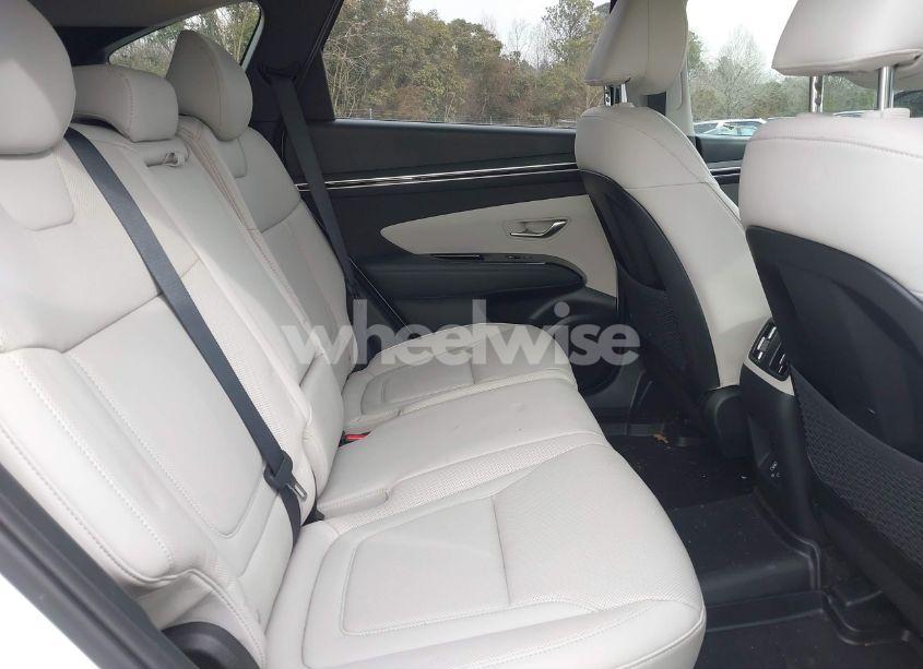Photo 8 of 2023 Hyundai Tucson LIMITED (VIN 5NMJECAE0PH267053)