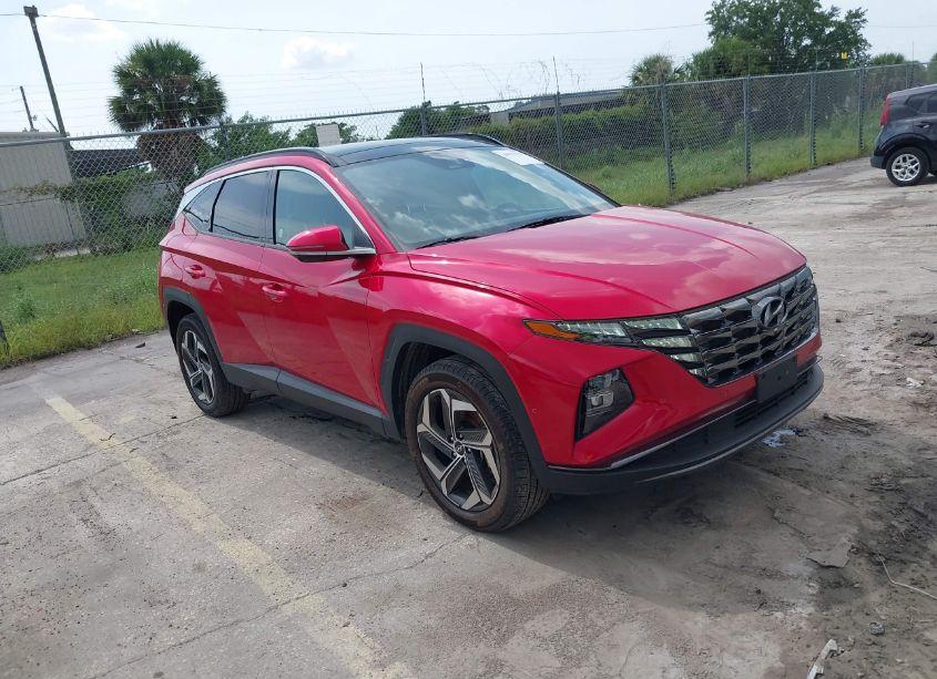 2023 Hyundai Tucson LIMITED (VIN 5NMJECAE1PH202812) main photo