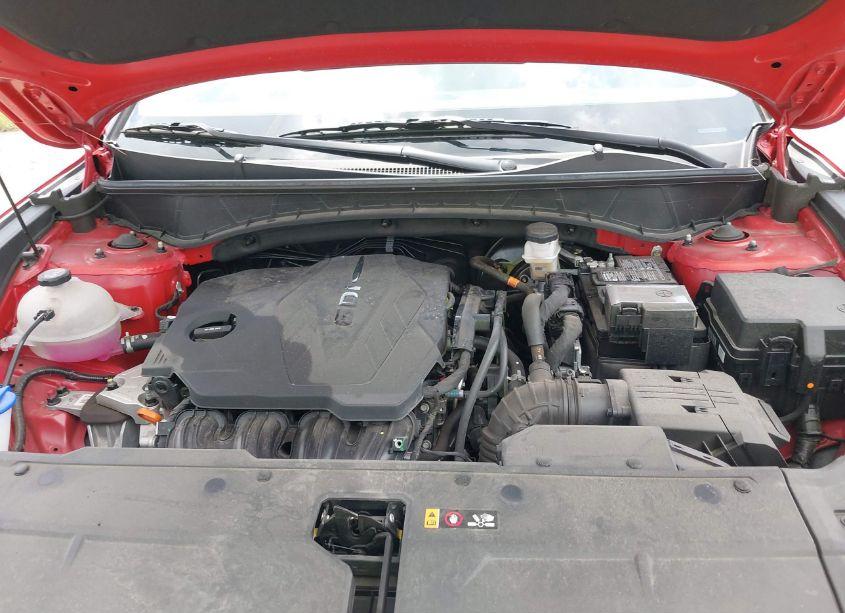 Photo 10 of 2023 Hyundai Tucson LIMITED (VIN 5NMJECAE1PH202812)