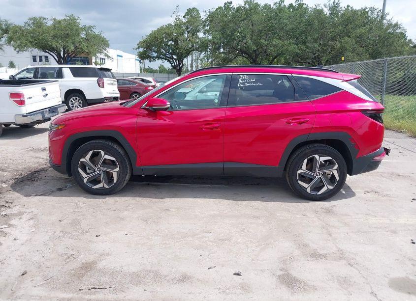 Photo 14 of 2023 Hyundai Tucson LIMITED (VIN 5NMJECAE1PH202812)