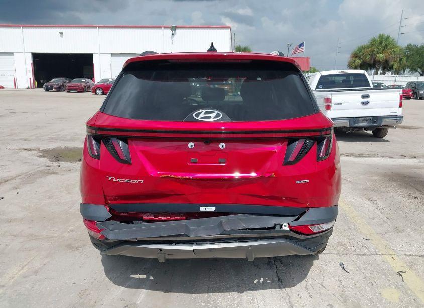 Photo 16 of 2023 Hyundai Tucson LIMITED (VIN 5NMJECAE1PH202812)