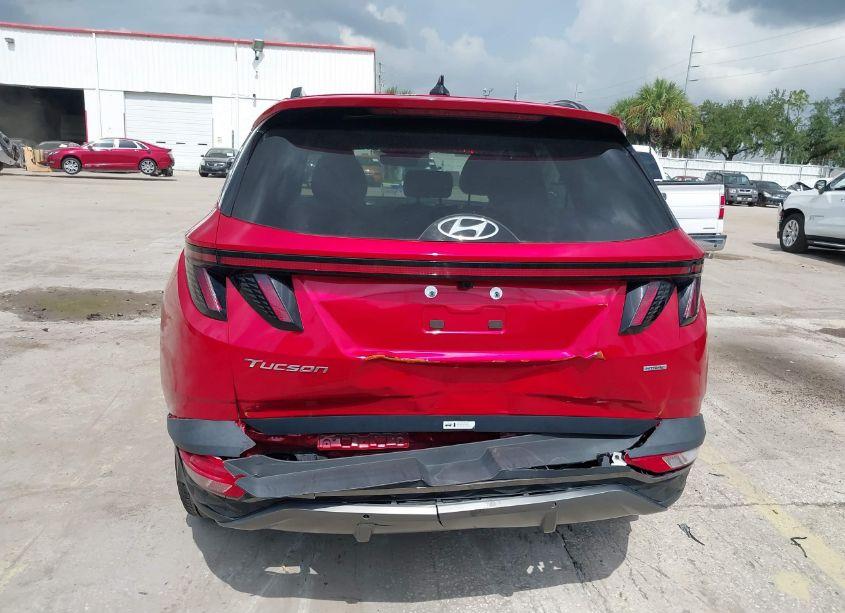 Photo 6 of 2023 Hyundai Tucson LIMITED (VIN 5NMJECAE1PH202812)
