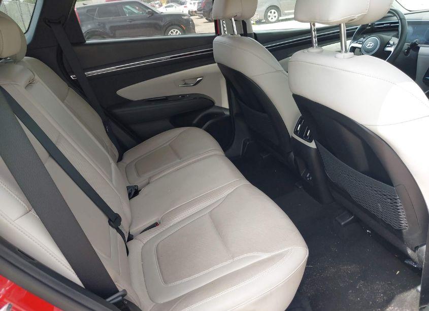 Photo 8 of 2023 Hyundai Tucson LIMITED (VIN 5NMJECAE1PH202812)