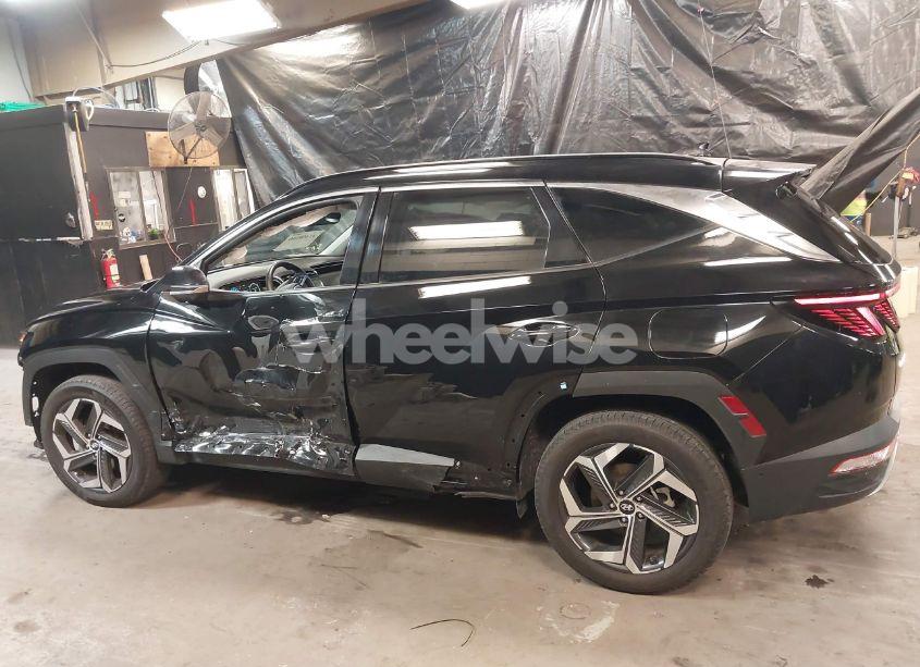 Photo 15 of 2023 Hyundai Tucson LIMITED (VIN 5NMJECAE1PH230867)