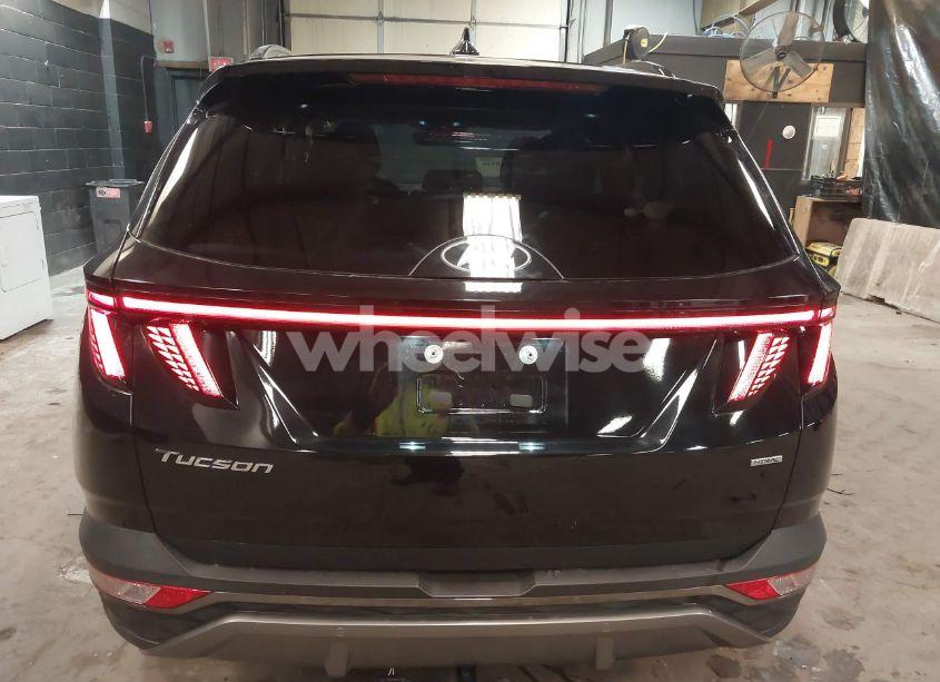Photo 17 of 2023 Hyundai Tucson LIMITED (VIN 5NMJECAE1PH230867)