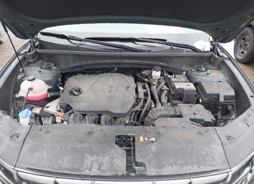 Photo 10 of 2023 Hyundai Tucson LIMITED (VIN 5NMJECAE1PH275484)