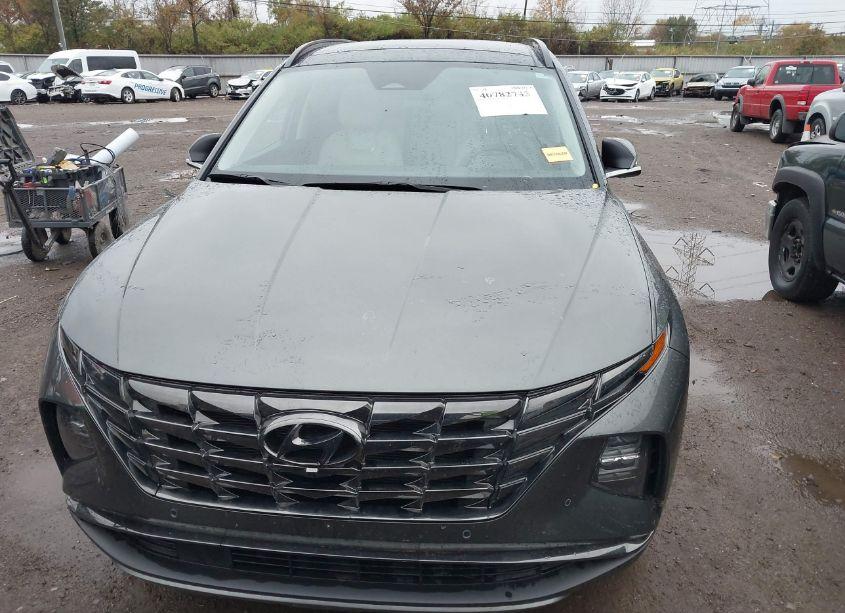 Photo 12 of 2023 Hyundai Tucson LIMITED (VIN 5NMJECAE1PH275484)