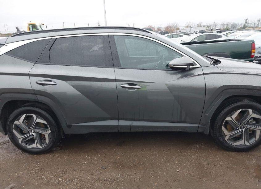 Photo 13 of 2023 Hyundai Tucson LIMITED (VIN 5NMJECAE1PH275484)
