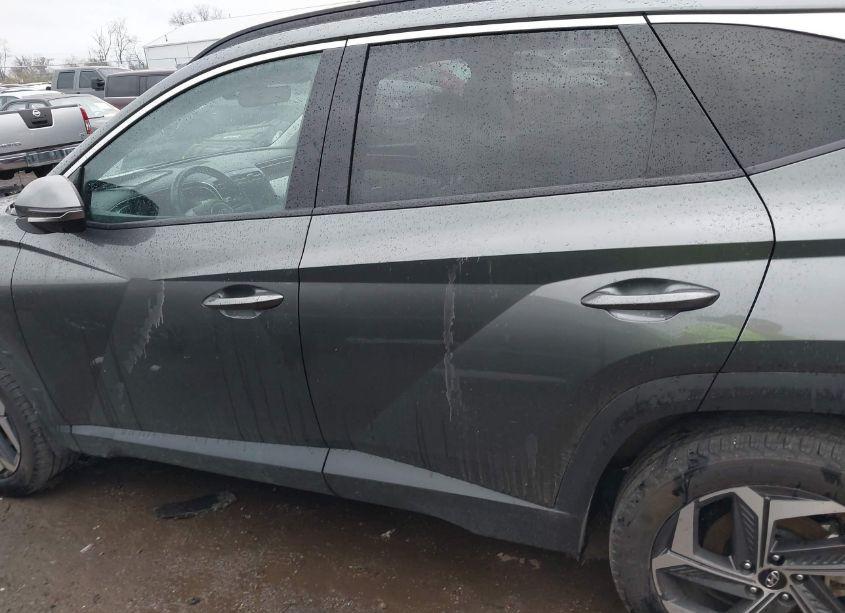 Photo 14 of 2023 Hyundai Tucson LIMITED (VIN 5NMJECAE1PH275484)