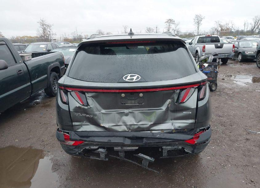 Photo 16 of 2023 Hyundai Tucson LIMITED (VIN 5NMJECAE1PH275484)