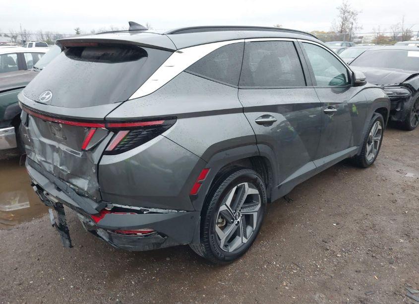 Photo 4 of 2023 Hyundai Tucson LIMITED (VIN 5NMJECAE1PH275484)