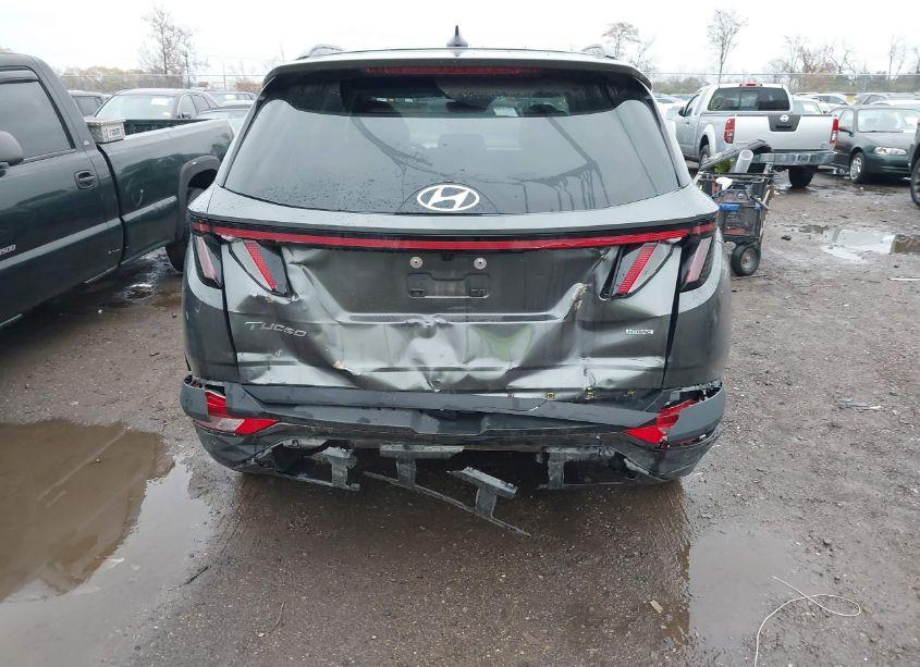Photo 6 of 2023 Hyundai Tucson LIMITED (VIN 5NMJECAE1PH275484)