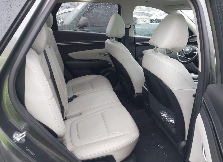 Photo 8 of 2023 Hyundai Tucson LIMITED (VIN 5NMJECAE1PH275484)