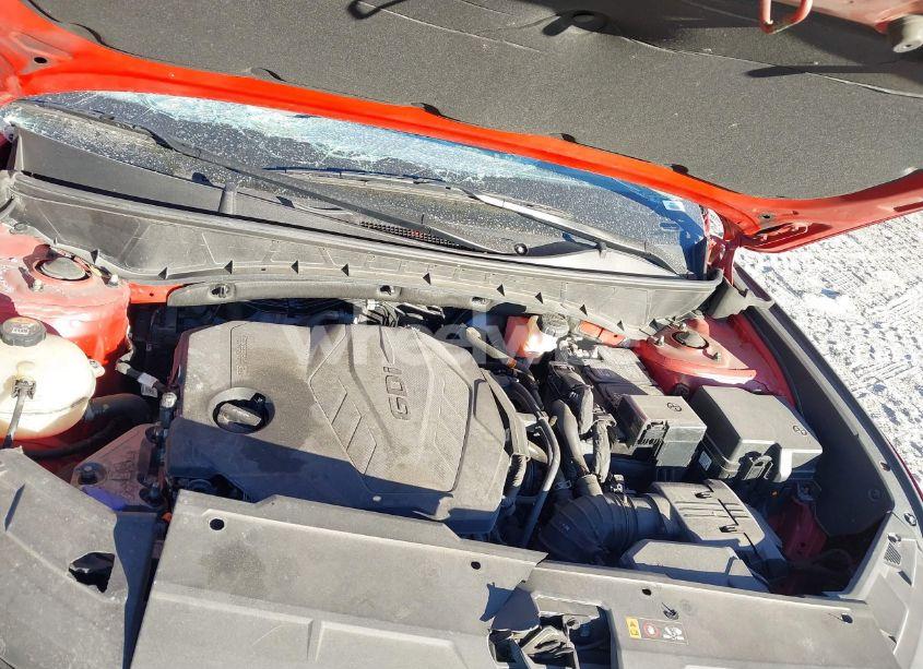 Photo 10 of 2022 Hyundai Tucson LIMITED (VIN 5NMJECAE2NH154153)