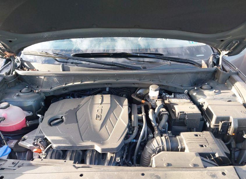 Photo 10 of 2023 Hyundai Tucson LIMITED (VIN 5NMJECAE2PH253025)