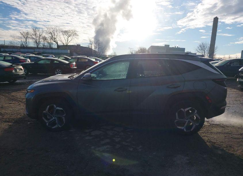 Photo 15 of 2023 Hyundai Tucson LIMITED (VIN 5NMJECAE2PH253025)