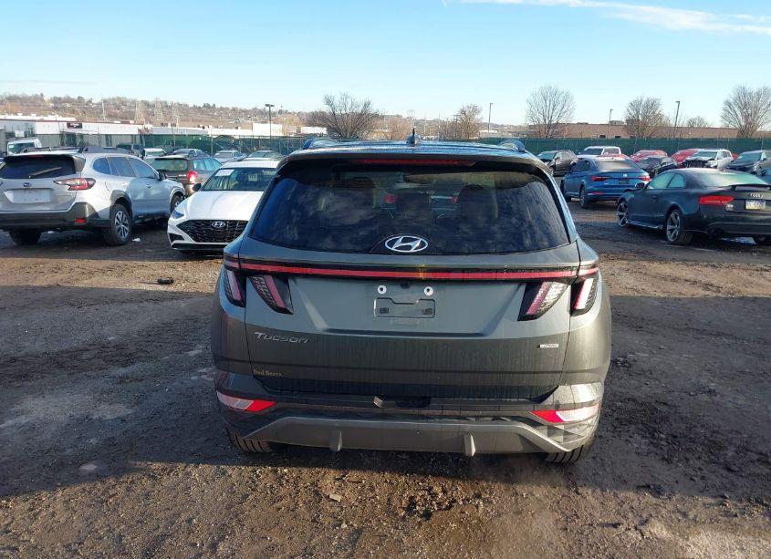 Photo 17 of 2023 Hyundai Tucson LIMITED (VIN 5NMJECAE2PH253025)