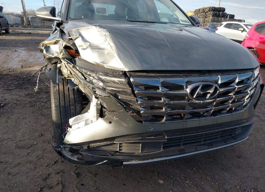 Photo 19 of 2023 Hyundai Tucson LIMITED (VIN 5NMJECAE2PH253025)
