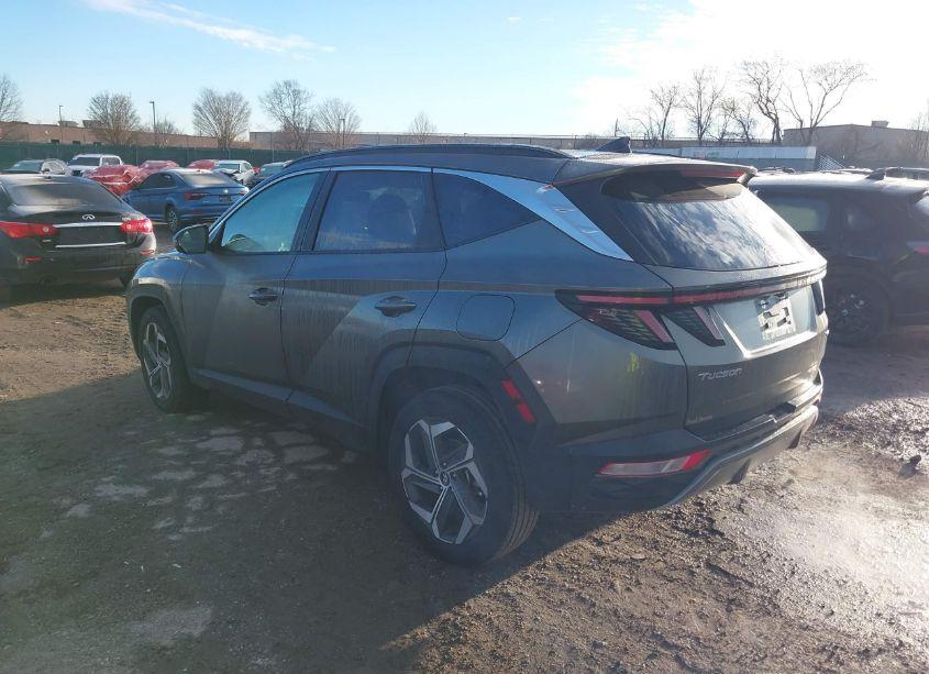 Photo 3 of 2023 Hyundai Tucson LIMITED (VIN 5NMJECAE2PH253025)