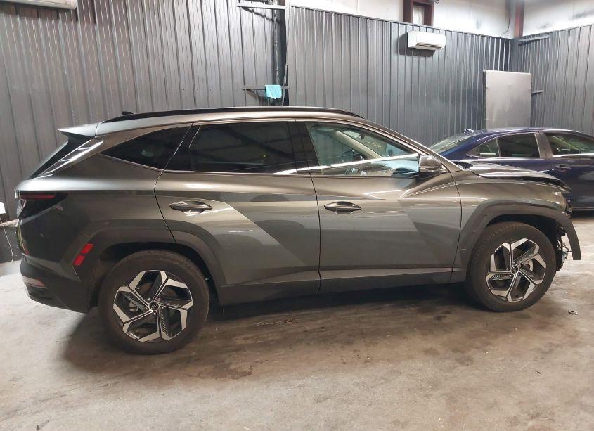Photo 14 of 2023 Hyundai Tucson LIMITED (VIN 5NMJECAE2PH279043)