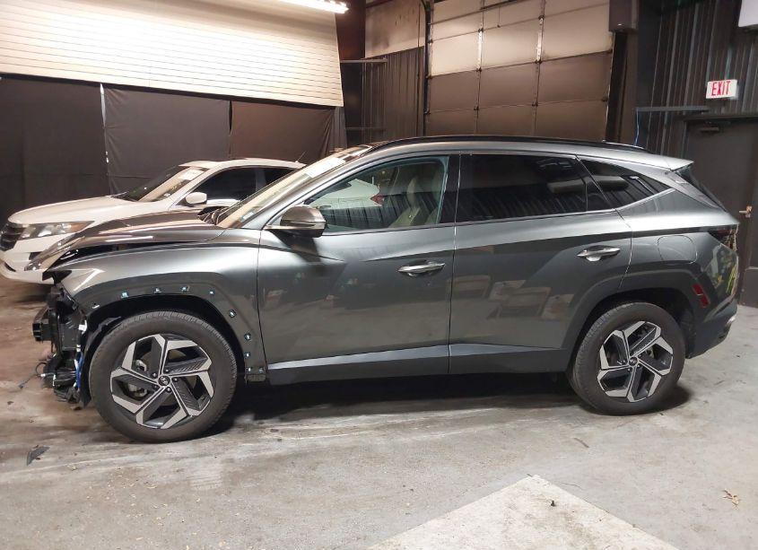 Photo 15 of 2023 Hyundai Tucson LIMITED (VIN 5NMJECAE2PH279043)