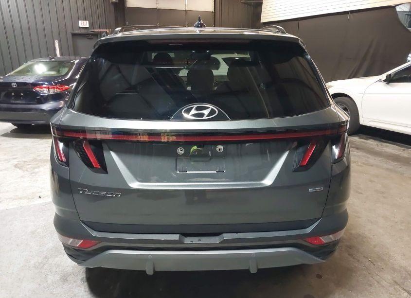 Photo 17 of 2023 Hyundai Tucson LIMITED (VIN 5NMJECAE2PH279043)