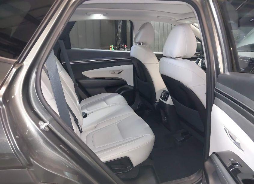Photo 8 of 2023 Hyundai Tucson LIMITED (VIN 5NMJECAE2PH279043)