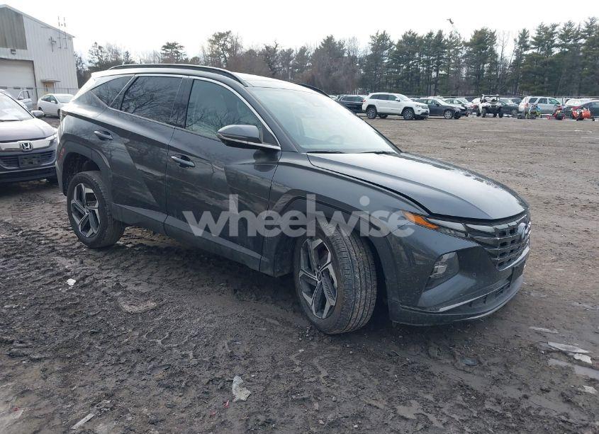 2023 Hyundai Tucson LIMITED (VIN 5NMJECAE2PH280709) main photo