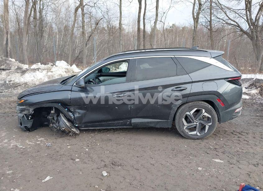 Photo 14 of 2023 Hyundai Tucson LIMITED (VIN 5NMJECAE2PH280709)