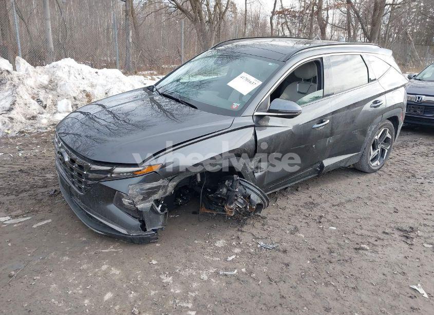 Photo 2 of 2023 Hyundai Tucson LIMITED (VIN 5NMJECAE2PH280709)